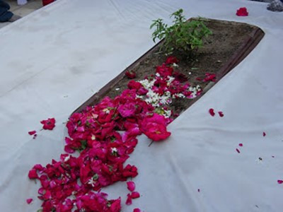 https://theindianmuslim.files.wordpress.com/2015/06/062315_0738_aurangzebal41.jpg?w=400