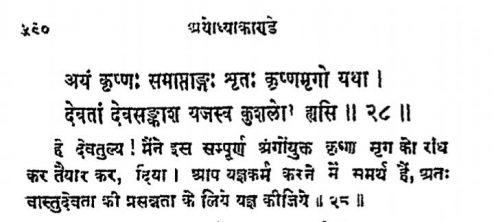 WhatsApp Image 2020-11-10 at 1.06.52 PM (2).jpeg