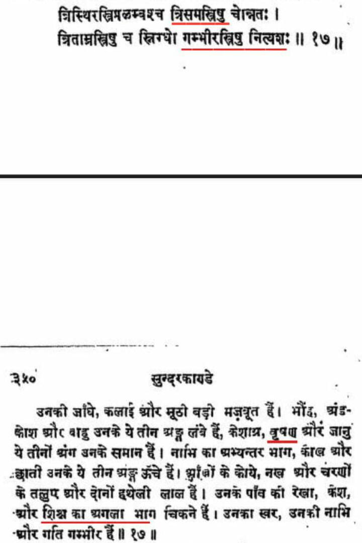 WhatsApp Image 2021-05-20 at 4.29.07 PM.jpeg