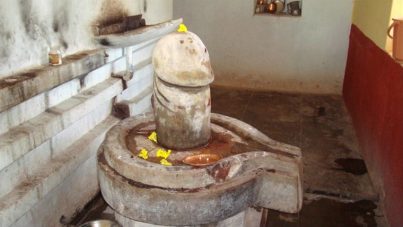 Devipuram Shivling Andhra Pradesh